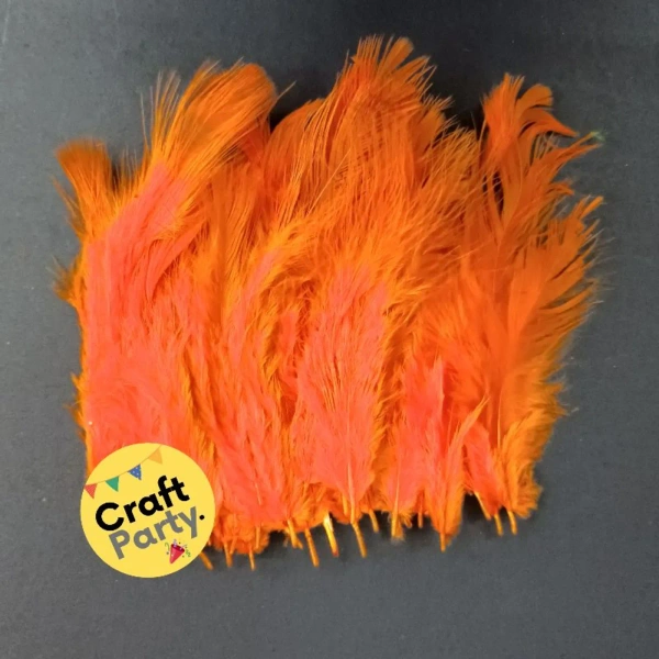 Orange Feathers - Pack Of 80pcs