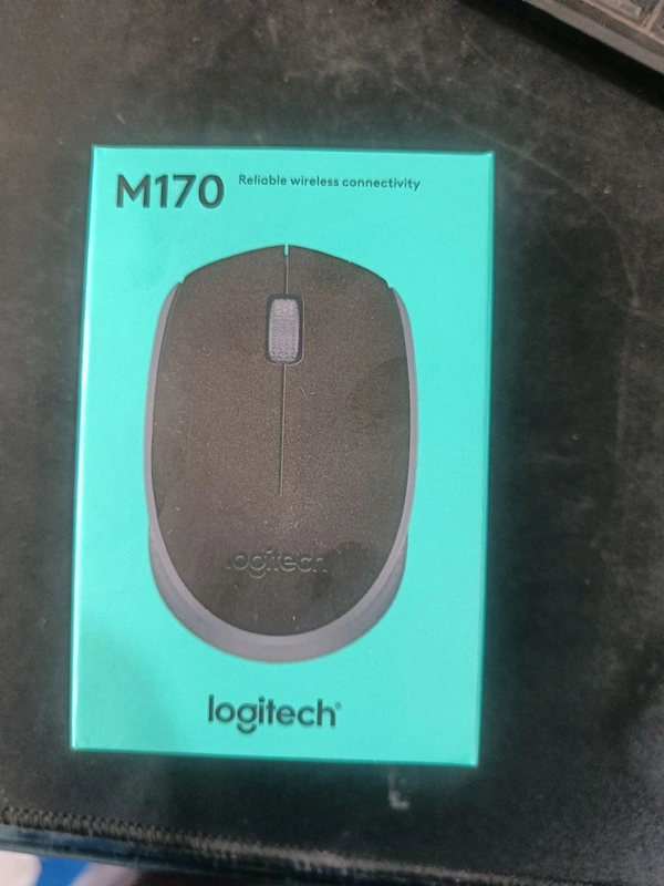 LOGITECH  MOUSE WIRELESS LOGITECH M170 - Black, WIRELESS