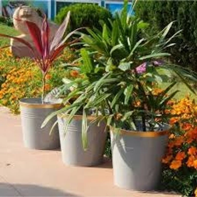 indoor and outdoor