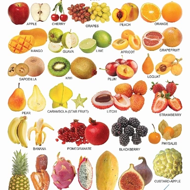 Fruit Plant 