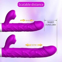 Thrusting Sucking Rabbit Vibrator for Women, G Spot Dildo Vibrator 3 Thrusting Rotating
