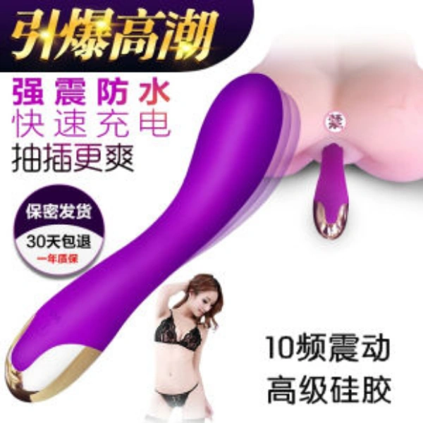 Toys Vibrator Sex Toy Fashion USB Charging 10 Frequency Vibration Sex Vibrator