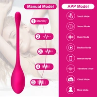 Professional Manufacture Cheap Waterproof USB Charger Sex Toy Women Vibrator