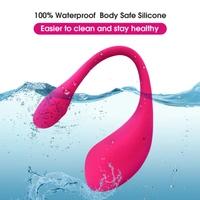 Professional Manufacture Cheap Waterproof USB Charger Sex Toy Women Vibrator
