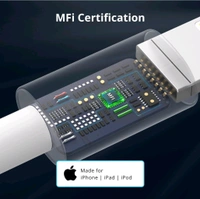 Type C To Lightning iPhone Charging Cable (1m - Pack Of 2) - Free Size, White