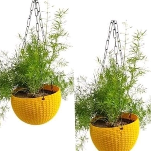 Unique Pots & Planter