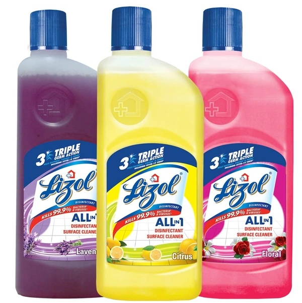 Lizol Floor Cleaner 500ml