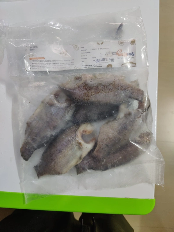 Tilapia Moon Cut Pan Ready चिलापी  - 500GM, 100-120 /Pieces