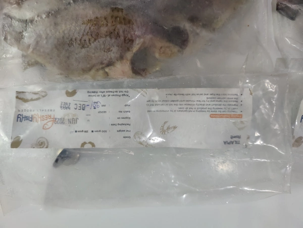 Tilapia Moon Cut Pan Ready चिलापी  - 500GM, 100-120 /Pieces