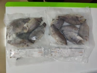 Tilapia Moon Cut Pan Ready चिलापी  - 500GM, 100-120 /Pieces