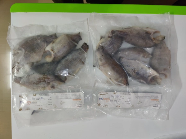 Tilapia Moon Cut Pan Ready चिलापी  - 500GM, 100-120 /Pieces