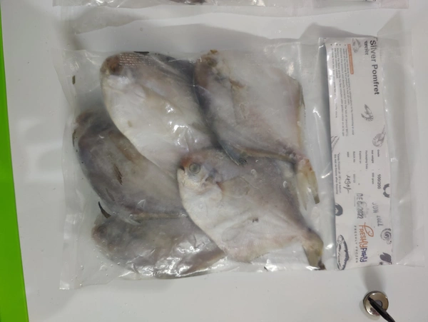 Silvar Pomfret पापलेट - 500GM, Whole With Head 100-150 Grade