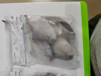 Silvar Pomfret पापलेट - 500GM, Whole With Head 100-150 Grade