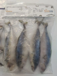 Indian Mackerel बांगडा - 500GM, 6/8 Grade