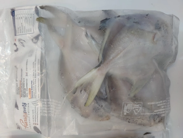 Silvar Pomfret पापलेट - 500GM, Whole With Head 150-200Grade