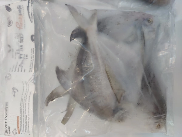 Silvar Pomfret पापलेट - 500GM, Whole With Head 150-200Grade