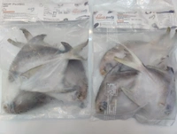 Silvar Pomfret पापलेट - 500GM, Whole With Head 150-200Grade