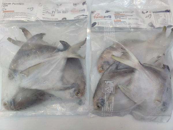 Silvar Pomfret पापलेट - 500GM, Whole With Head 150-200Grade