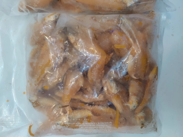Anchovies With Head मांदेली - Regular With Head, 500GM