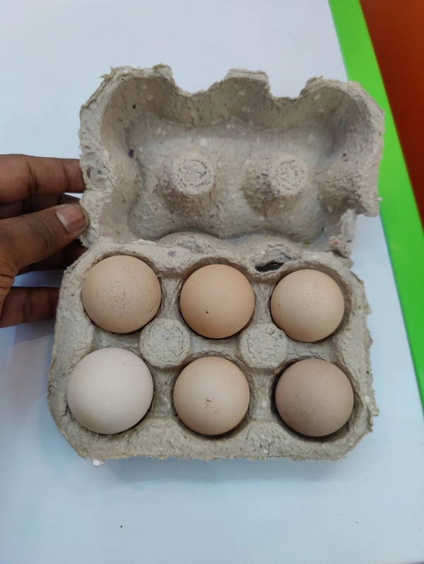 Sanjeevan Agro Brown Eggs गावरान अंडे - 30 Nos Full Size, 45/50GM