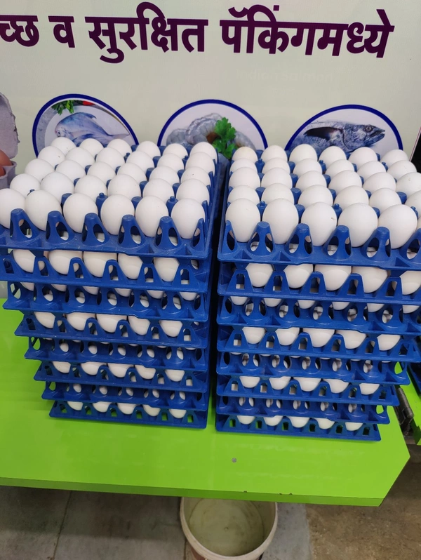 61-65GM Lehar Eggs लेहर अंडे - 30 Nos, 61-65GM