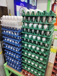 61-65GM Lehar Eggs लेहर अंडे - 30 Nos, 61-65GM