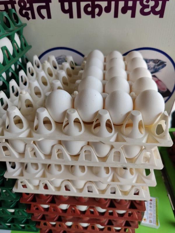 66-70GM Lehar Eggs लेहर अंडे - 30 Nos, 66-70GM