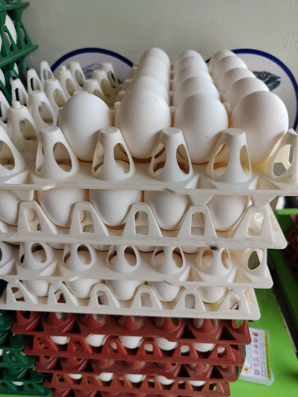 66-70GM Lehar Eggs लेहर अंडे - 30 Nos, 66-70GM