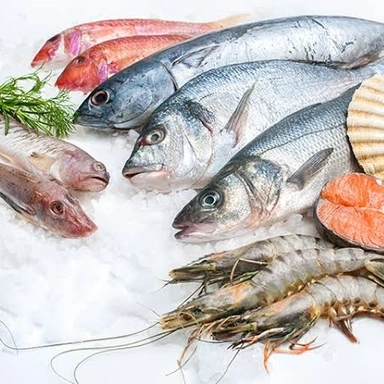 Sea Food Freshly Frozen सामुद्रतील ताजे मासे