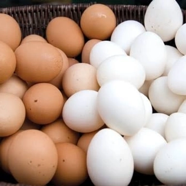 Fresh Egg फार्ममधील ताजे अंडे