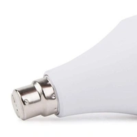 Inverter Bulb
