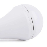 Inverter Bulb