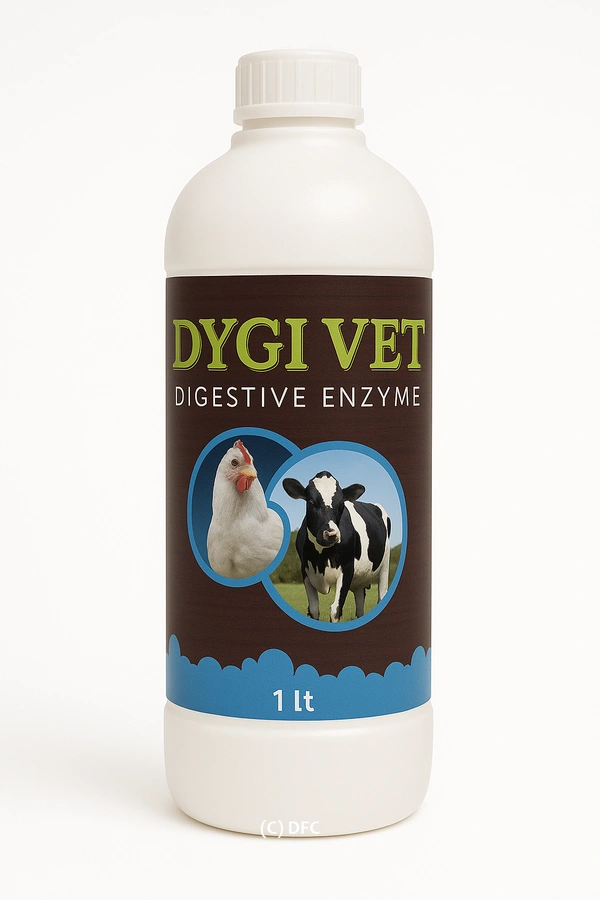 Dygi Vet