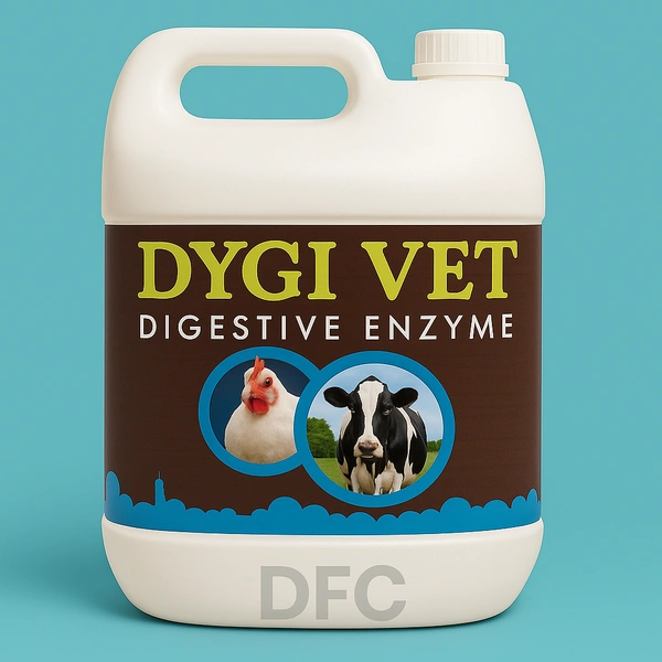 Dygi Vet