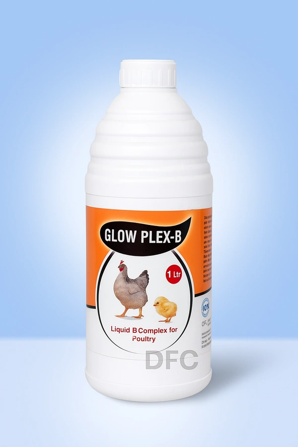 Glow Plex-B
