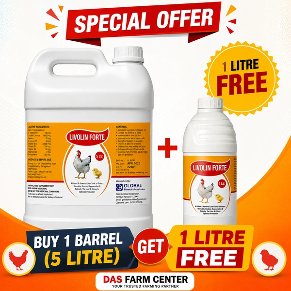A Liver Tonic for liver & Kidney by Global Biotech Livolin Forte - 1 ltr