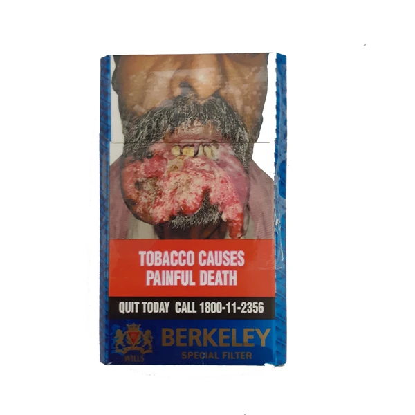 ITC BERKELEY Cigarettes - Pack of 10