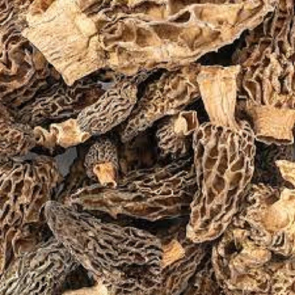 Morel Mushrooms /HSN 2003 @ 12%