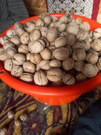 Walnut Giri