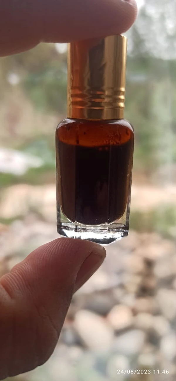 Artemisia Absintium Oil - Black, 5Ml