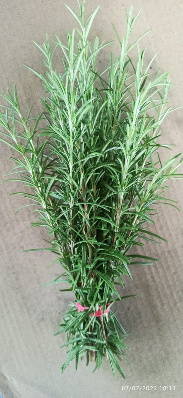 Rosemary Bunches 