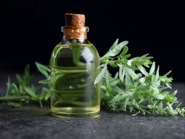 Payam Naturals  Artemisia Annua Oil 