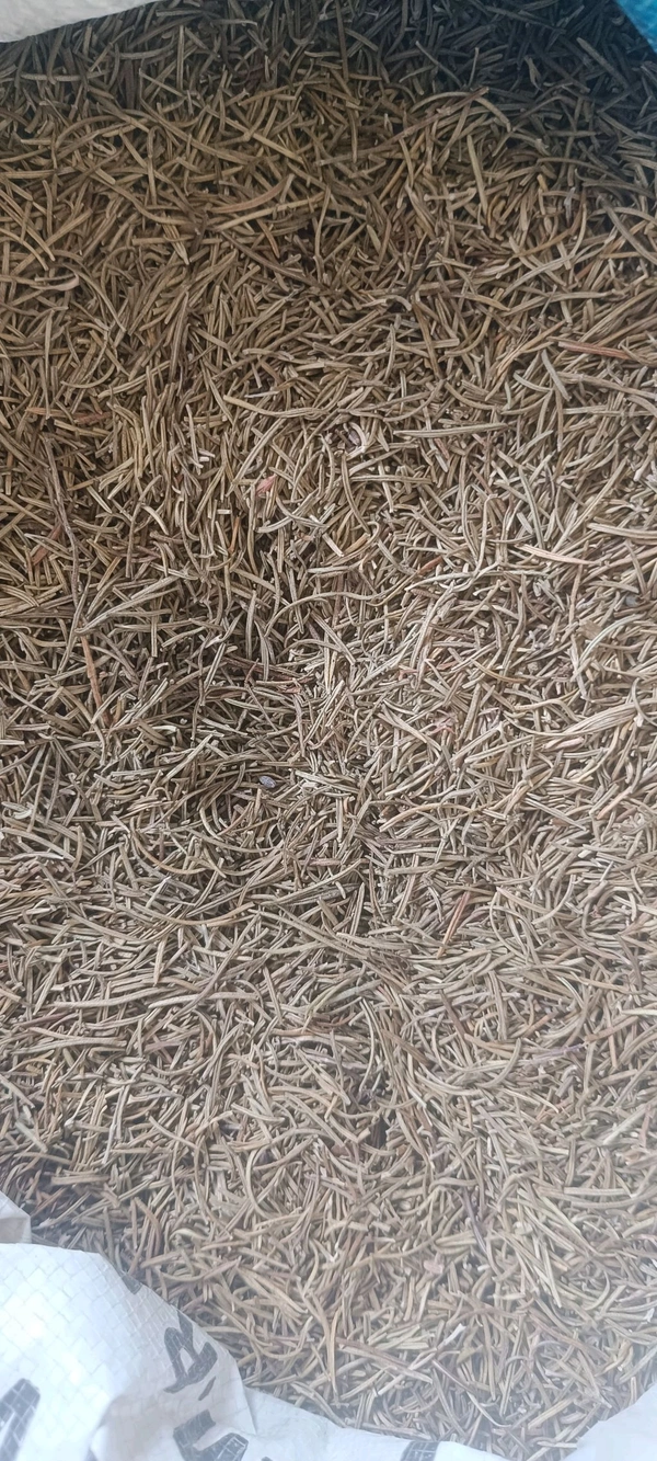 Rosemary Leaves