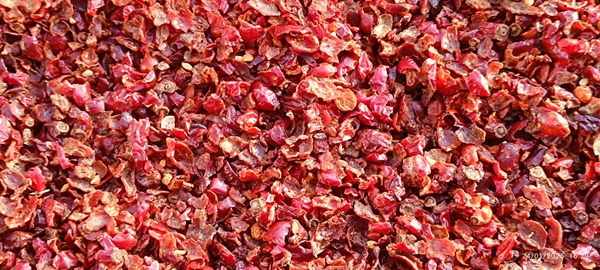 Payam Naturals  Rosehip Flesh 