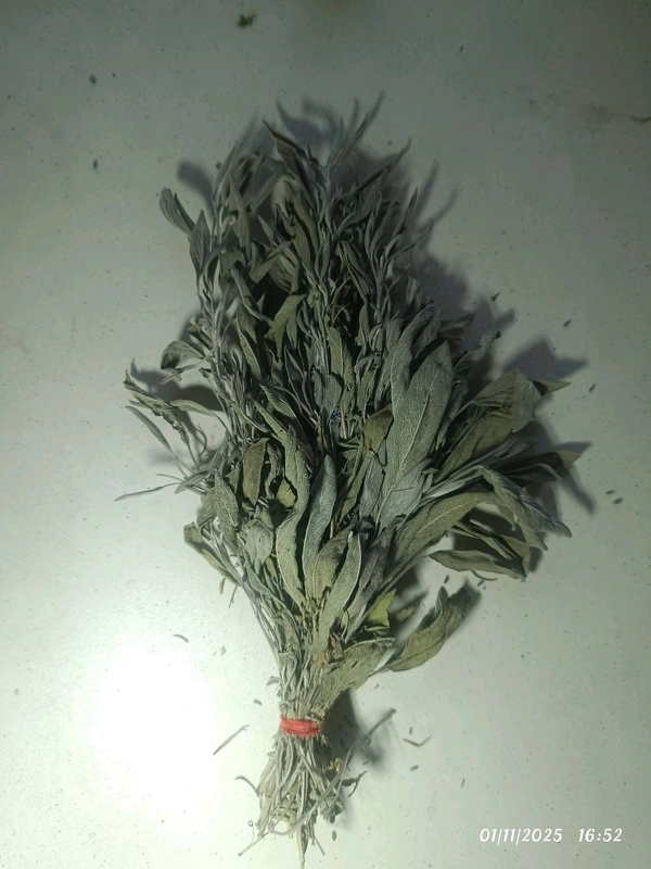 Sage Bunches 