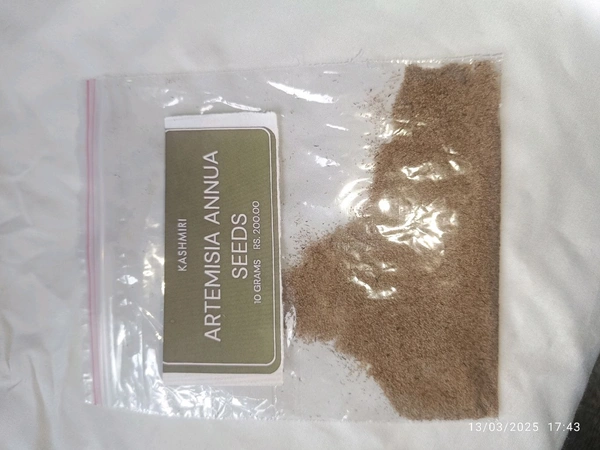 Payam Naturals  Artemisia Annua Seeds 