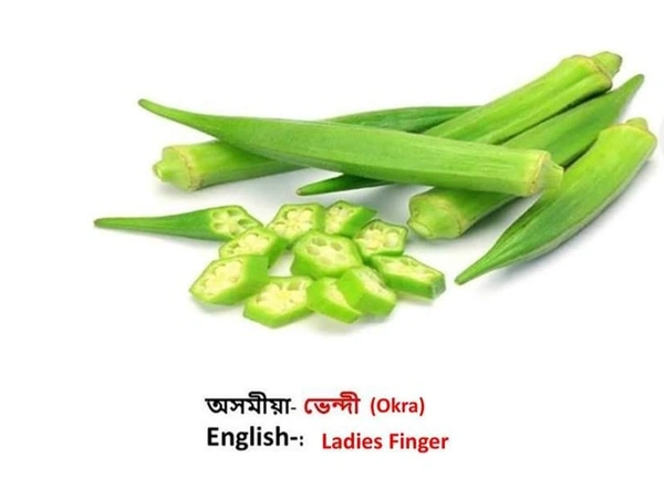 ভেন্দী ( Okra / Ladies Finger) 500 Gram - 500Grm