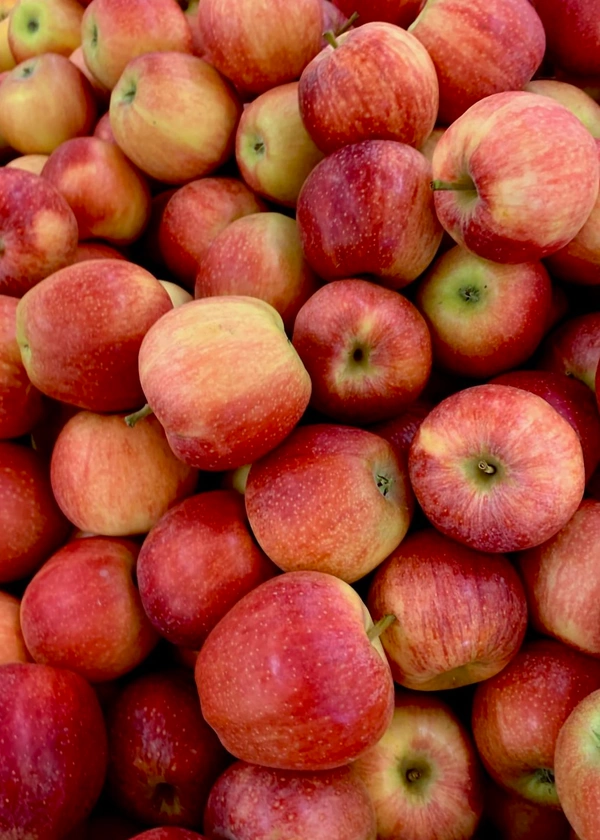 Apple Kashmiri ( আপেল কাশ্মীৰী) 500 Grams  - 500GRM