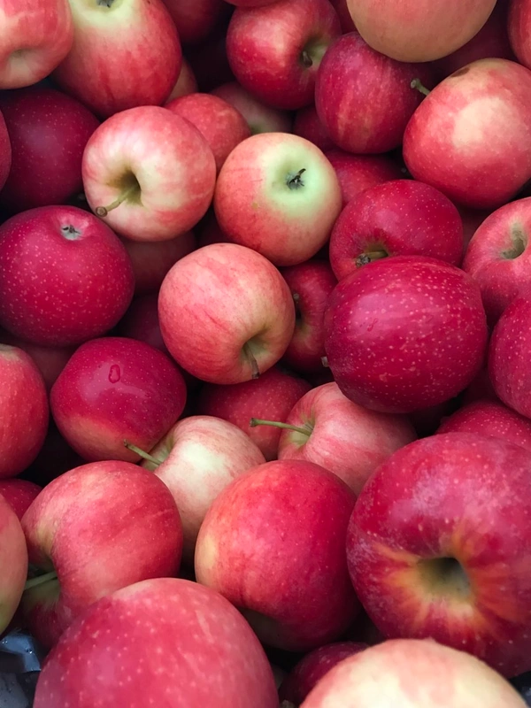 Apple Kashmiri ( আপেল কাশ্মীৰী) 500 Grams  - 500GRM