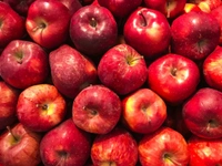 Apple Kashmiri ( আপেল কাশ্মীৰী) 500 Grams  - 500GRM
